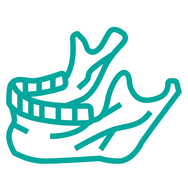 Jaw Bone Icon